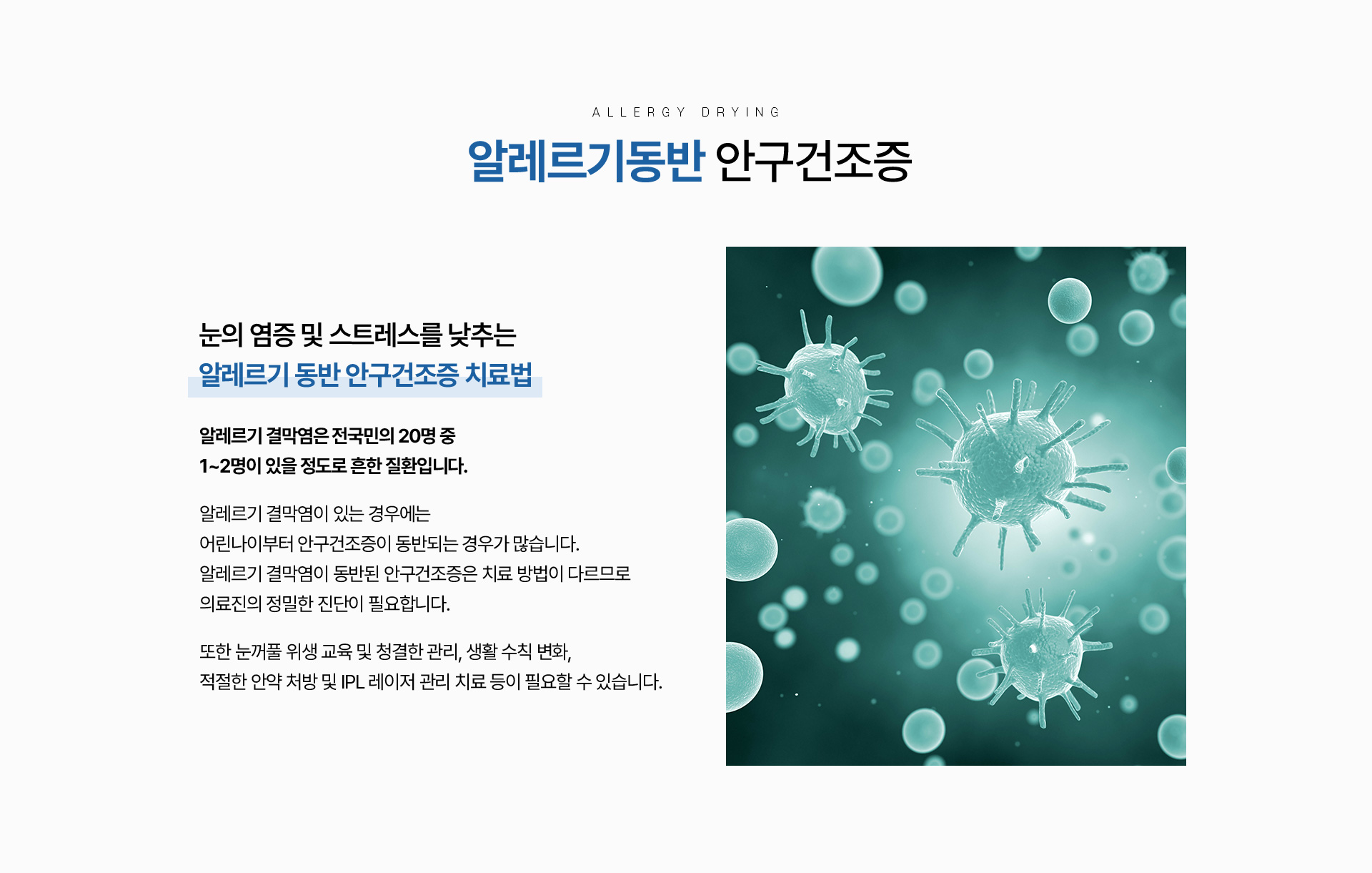 안구건조증_05